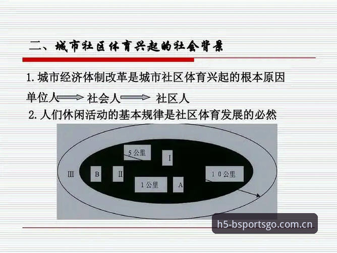 为什么B体育平台能成为体育娱乐首选？一位老用户的真实使用心得