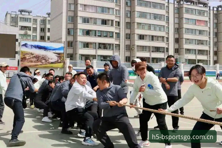 B体育平台 vs 传统体育入口：2026便捷服务带来的体验革命